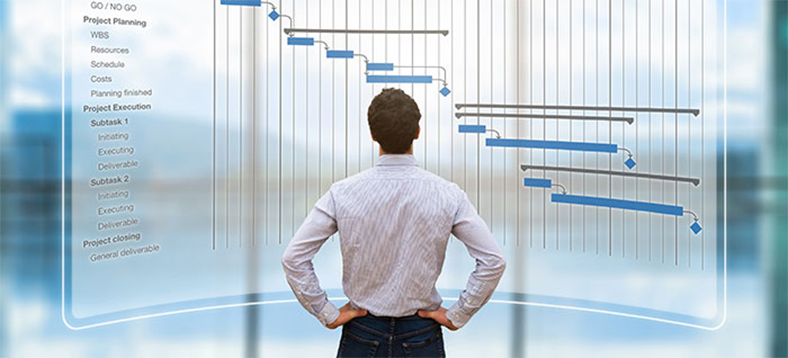 Male looking at a project management sitemap with his back facing us and his arms on his hips.